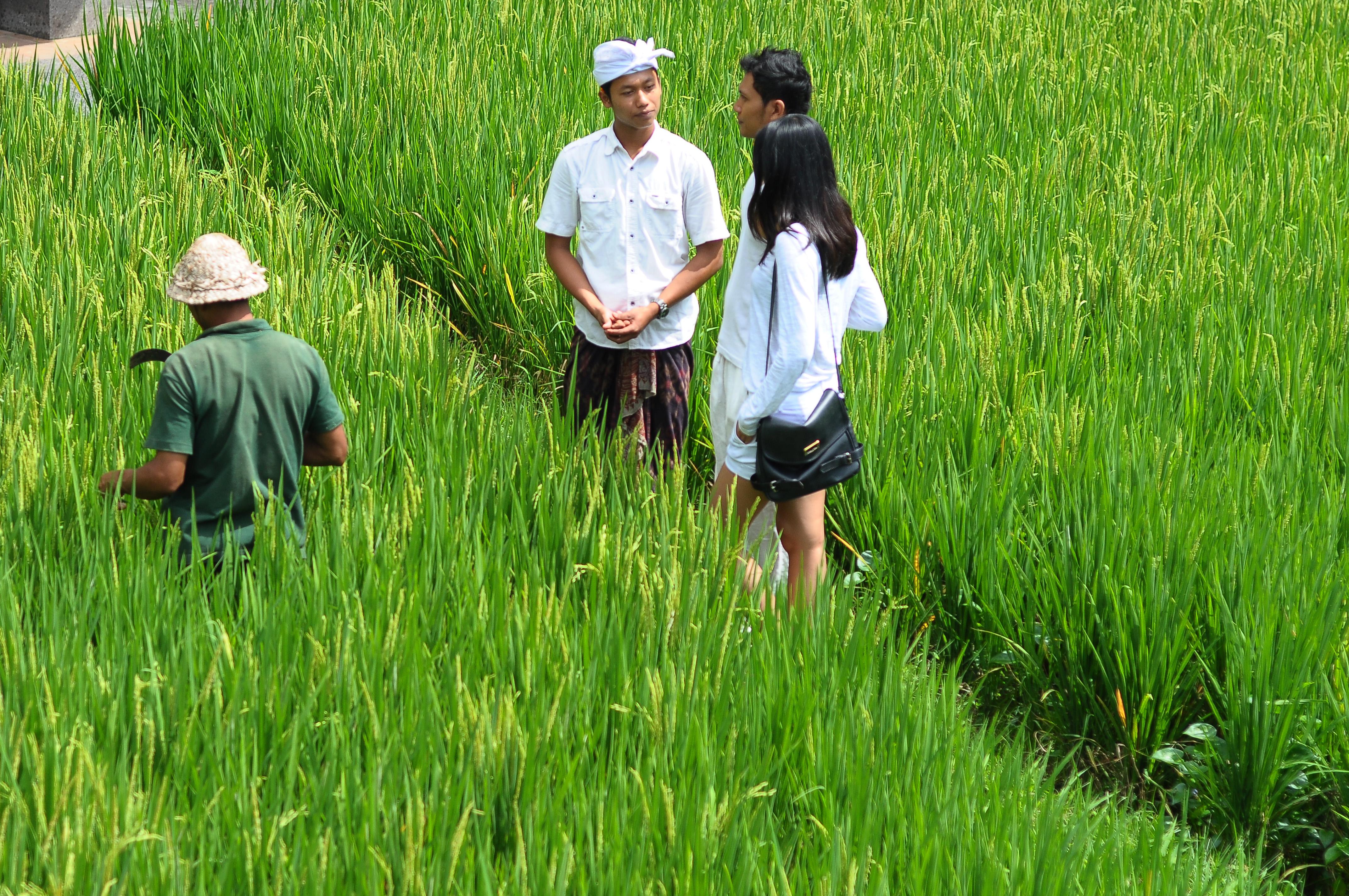 Arma Museum & Resort, Chse Certified Ubud Exteriör bild